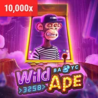 Quản lý tài khoản cá nhân cs88 game